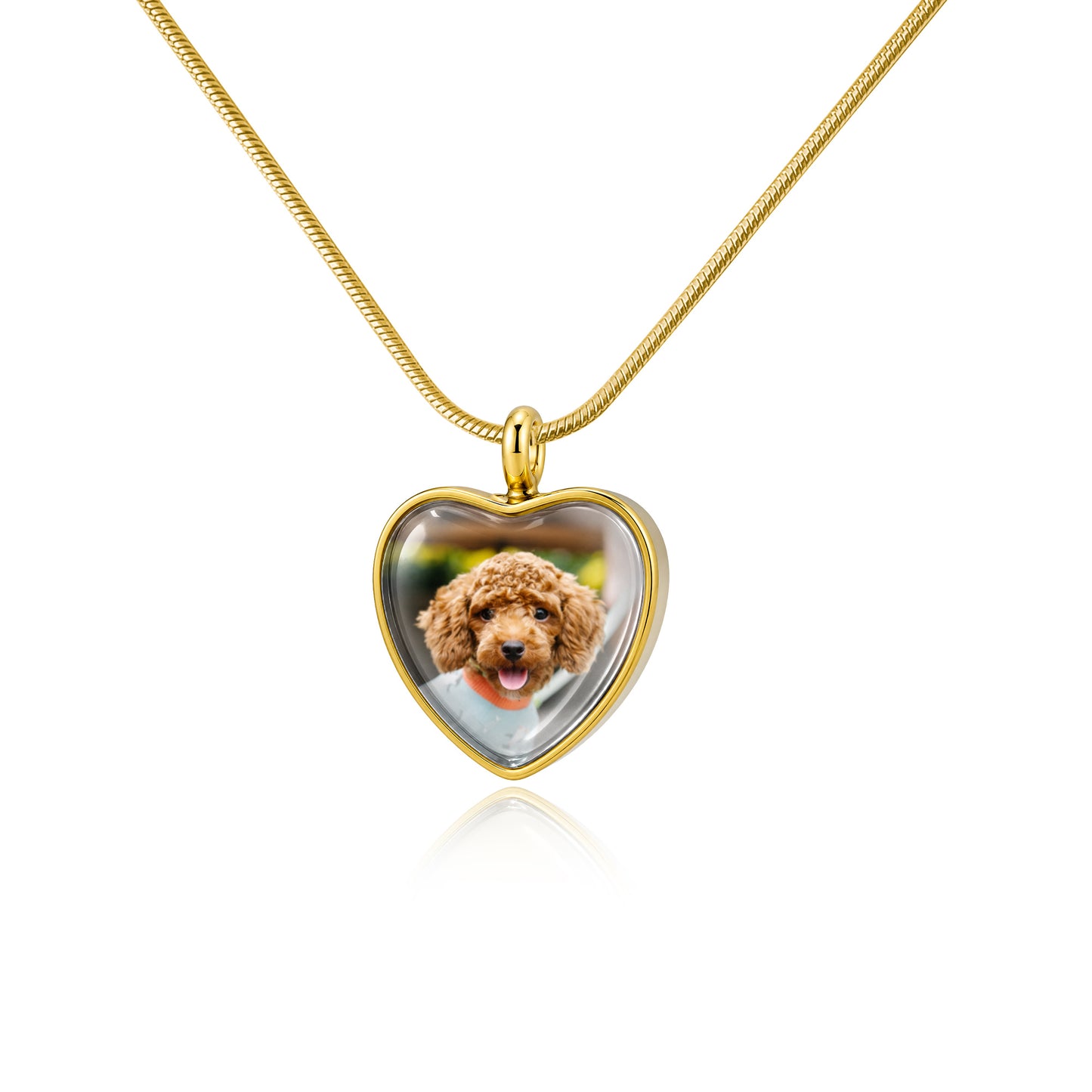 Heart Pet Memorial Ashes Holder Necklace with Photo