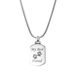 B99907 Best Friend Paw Print Memorial Necklace 1
