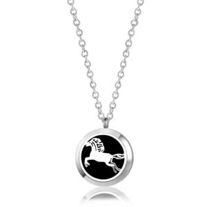 B116084 Horse Essential Oil Necklace 1
