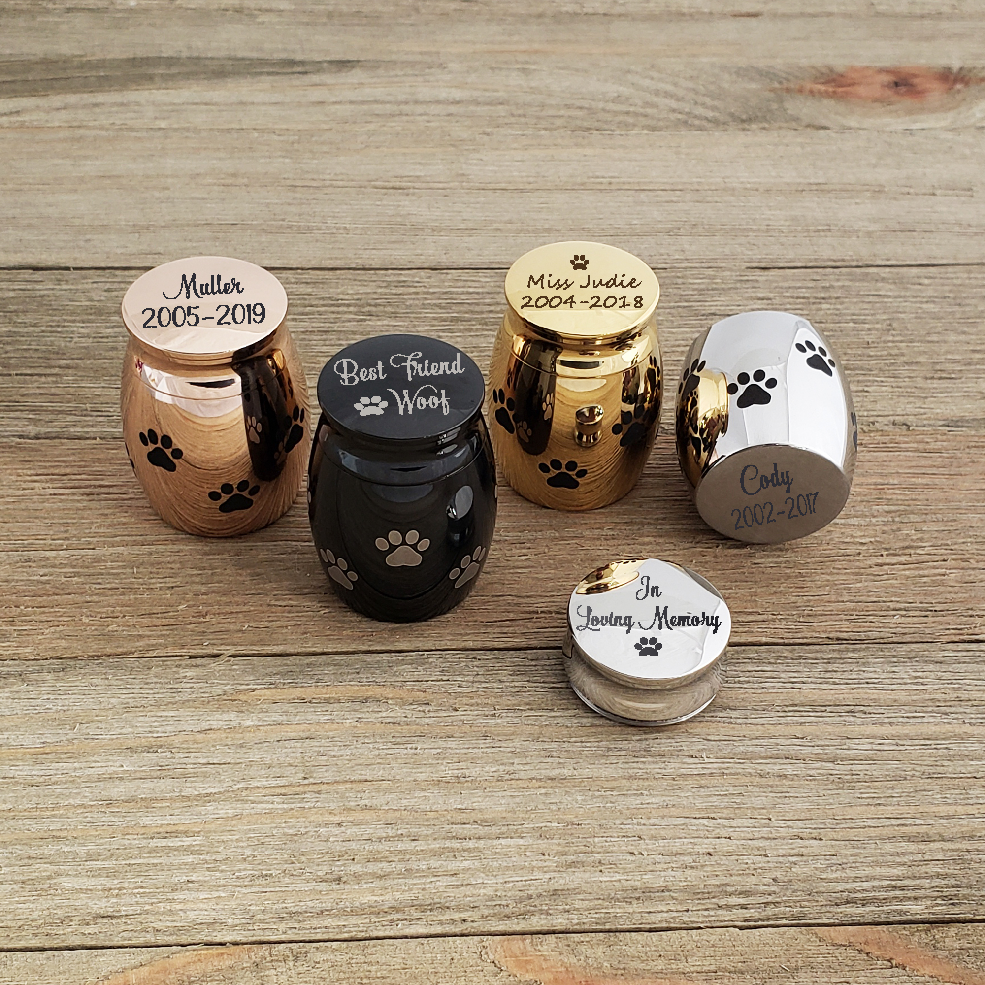 Free Engraving Anavia Personalized Mini Dog Paw Print Cremation Urn for Pet Ashes Holder 316L Stainless Steel Small Memorial Keepsake for Loved Puppy Cat Gold Plated 